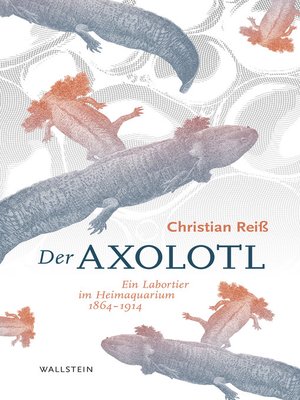 cover image of Der Axolotl